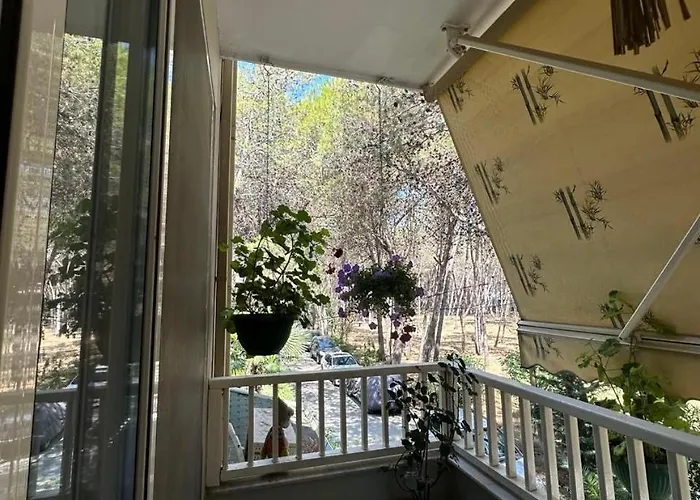 Spacious Flat In Seaside Lejlighed *